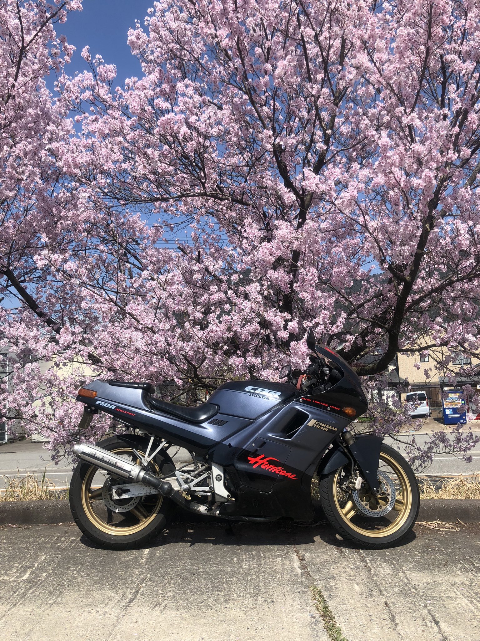 ホンダ CBR250R