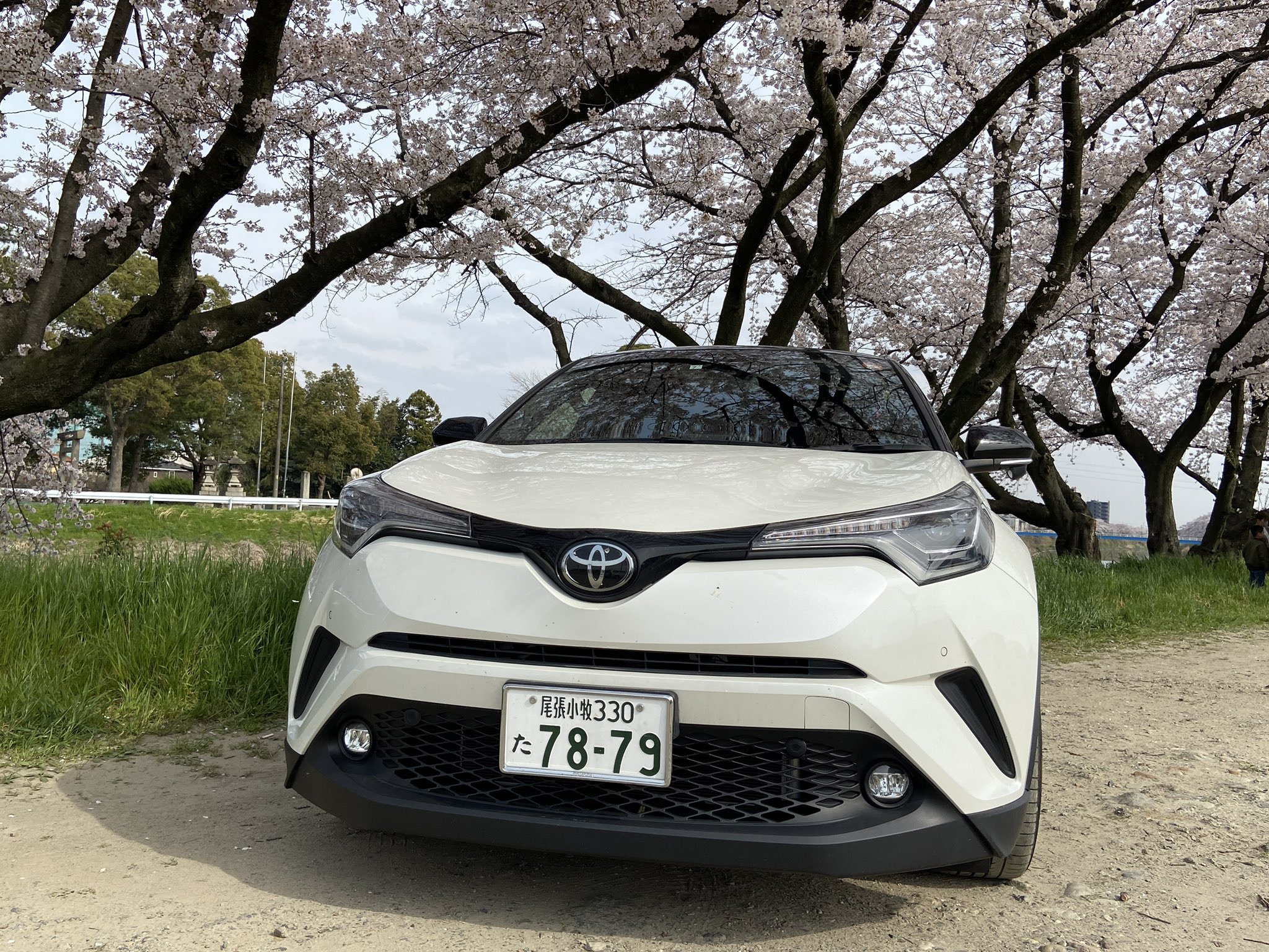 トヨタ C-HR