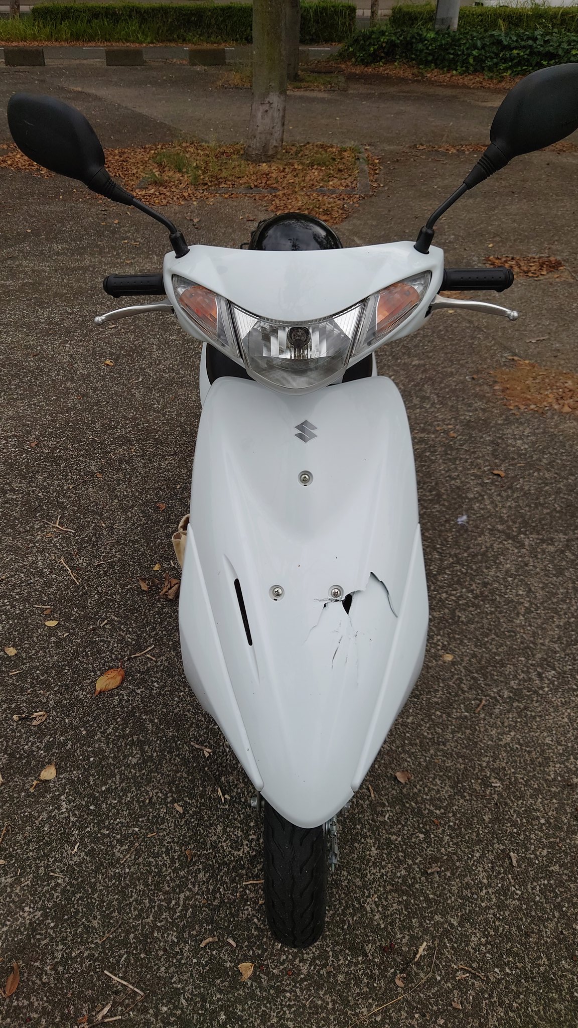 スズキ アドレスV50