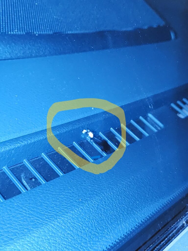 トヨタ ランドクルーザープラド TX Lパッケージ 70thアニバーサリーリミテッド