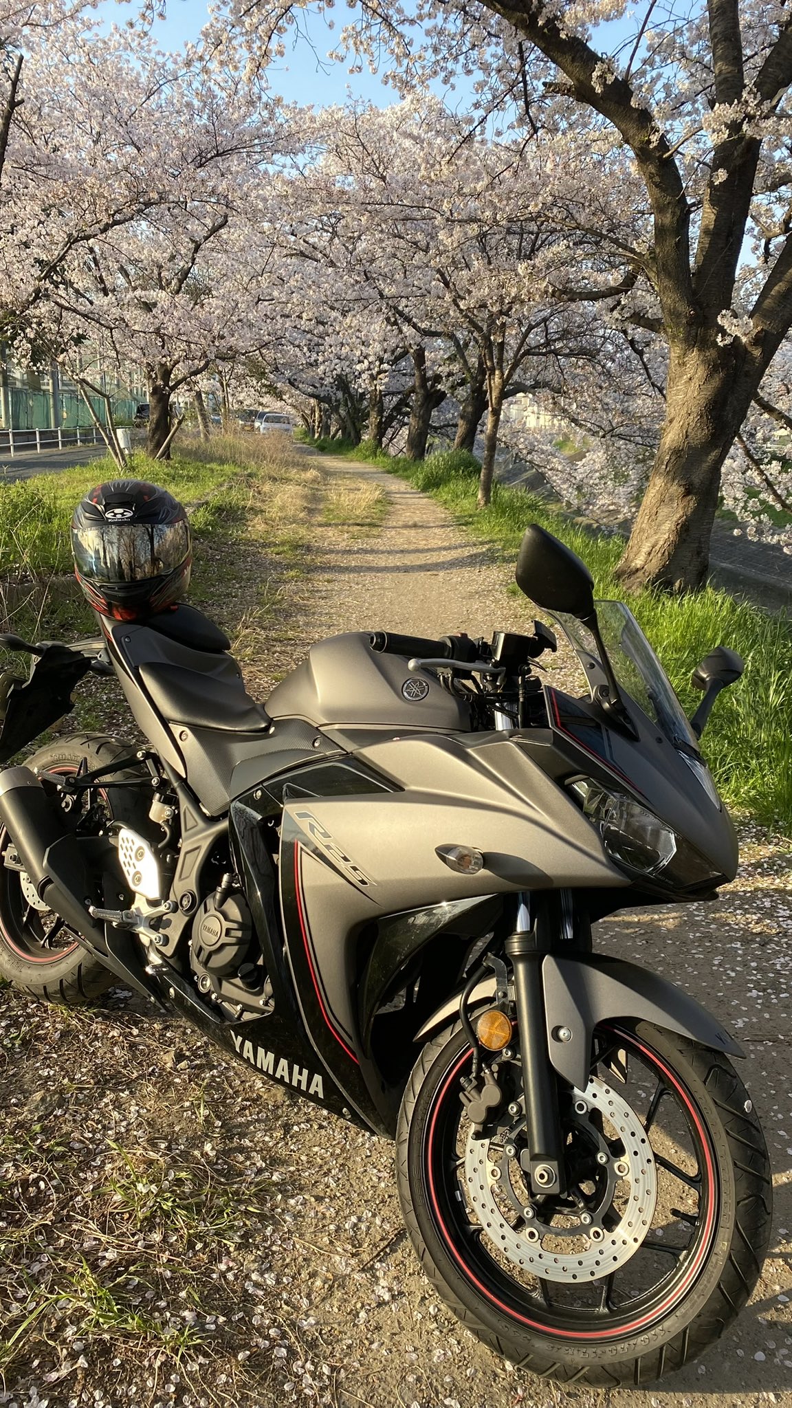 ヤマハ YZF-R25