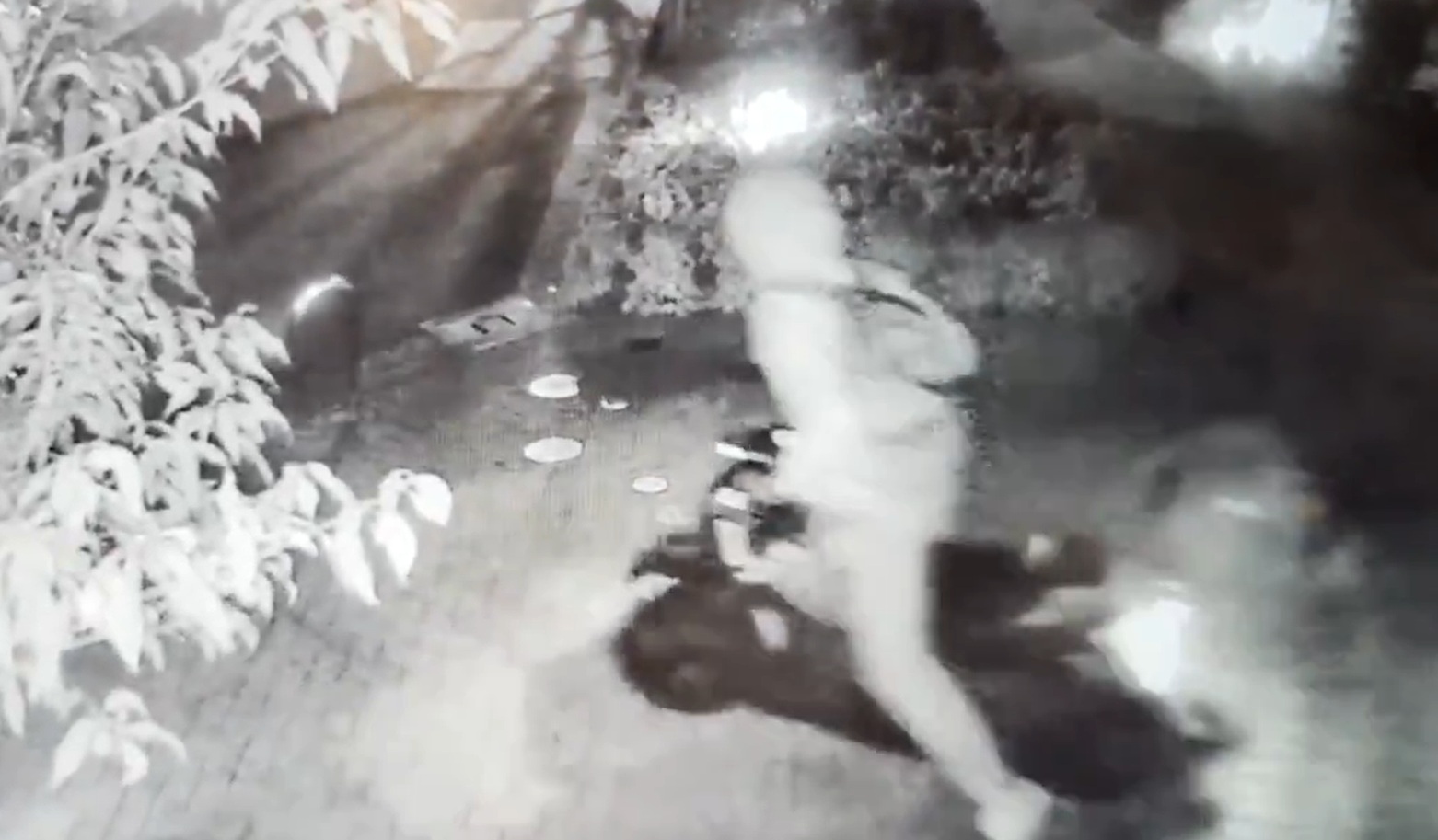 スズキ アドレスV125G 加曽利スペシャル