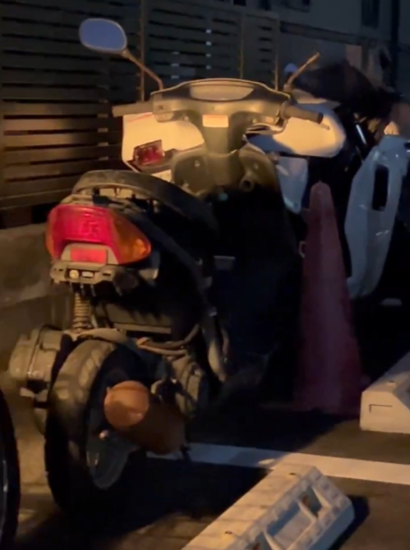 ホンダ ライブディオ